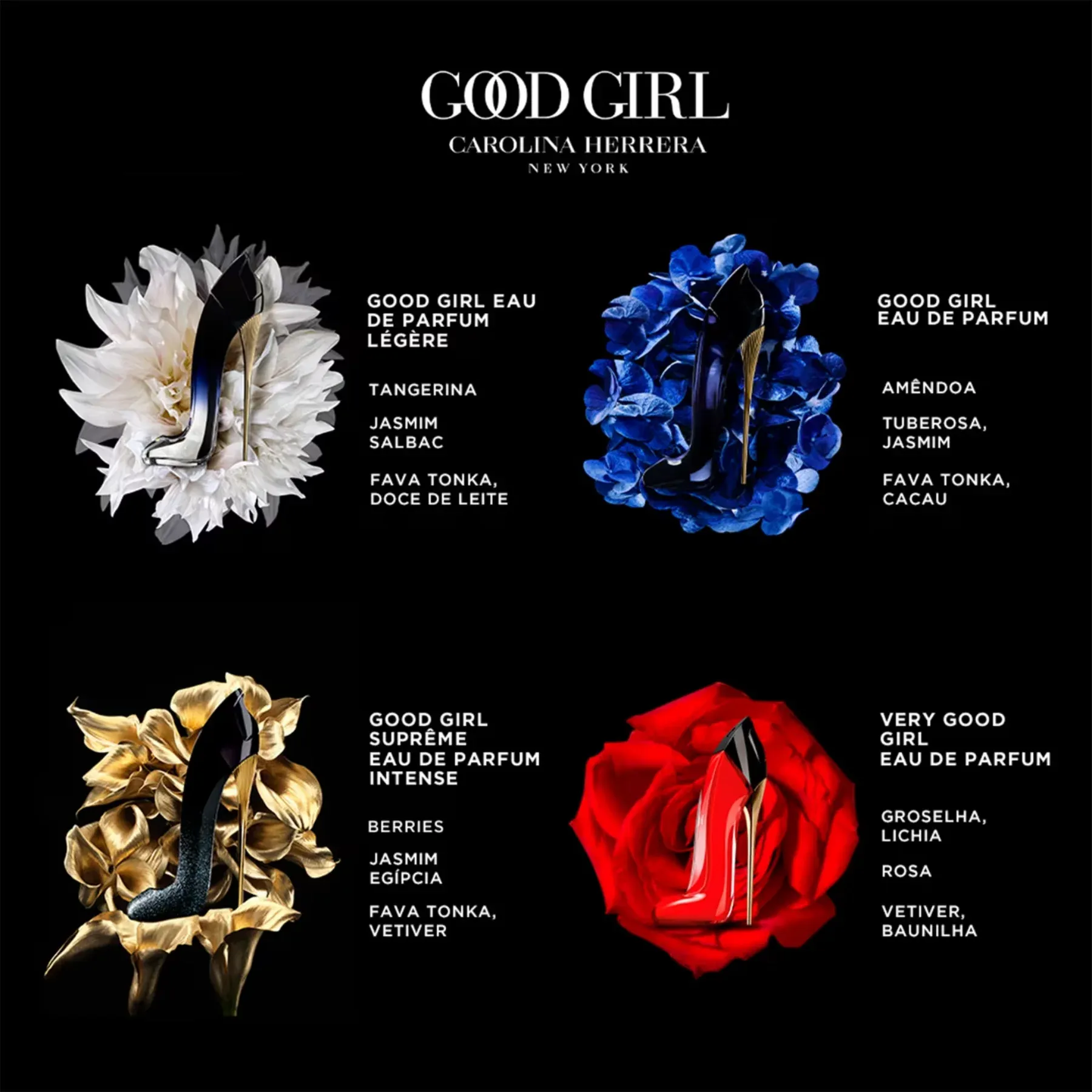 GG EDP -2-